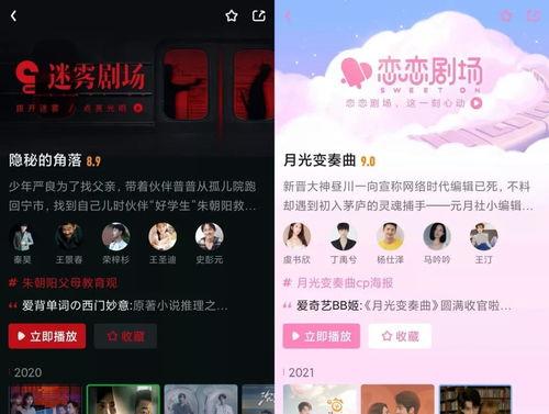 一宠终身简介 最新爆料,揭秘宠物陪伴背后的感人故事与温馨瞬间